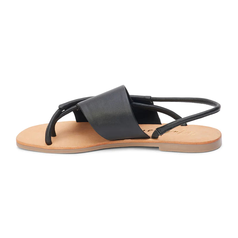 Step into style with Matisse | Shayla! These leather sandals are the perfect mix of comfort and chic. With their high-quality material and trendy design, you'll be turning heads wherever you go. Say hello to your new favorite summer shoe (and goodbye to boring sandals).